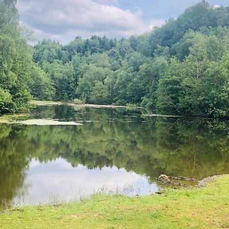 Gemuetliche Fewo Naehe Hachenburg, Bad Marienberg Διαμέρισμα Langenbach bei Kirburg Εξωτερικό φωτογραφία